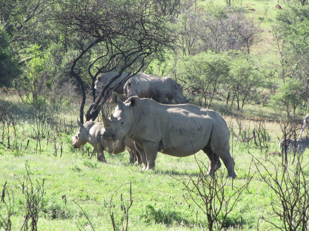 Spion Kop Lodge Winterton Luaran gambar