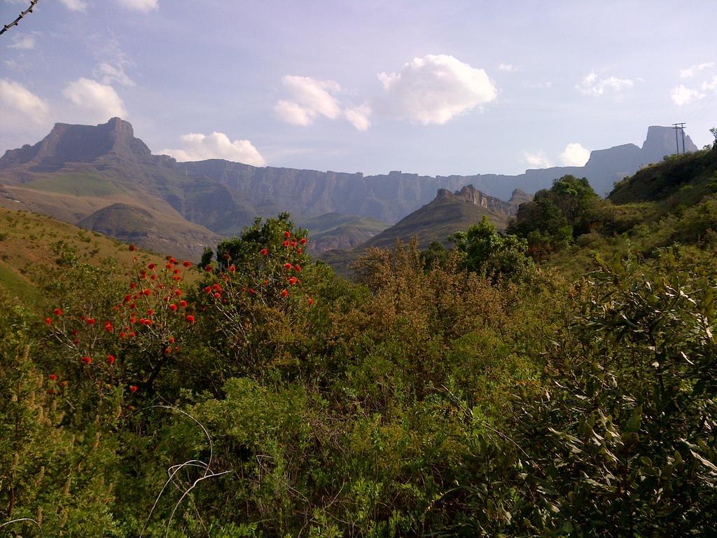 Spion Kop Lodge Winterton Luaran gambar