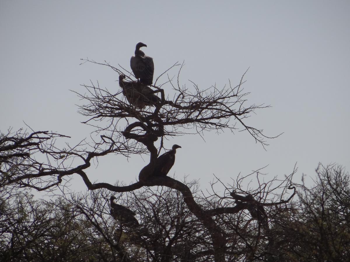Spion Kop Lodge Winterton Luaran gambar